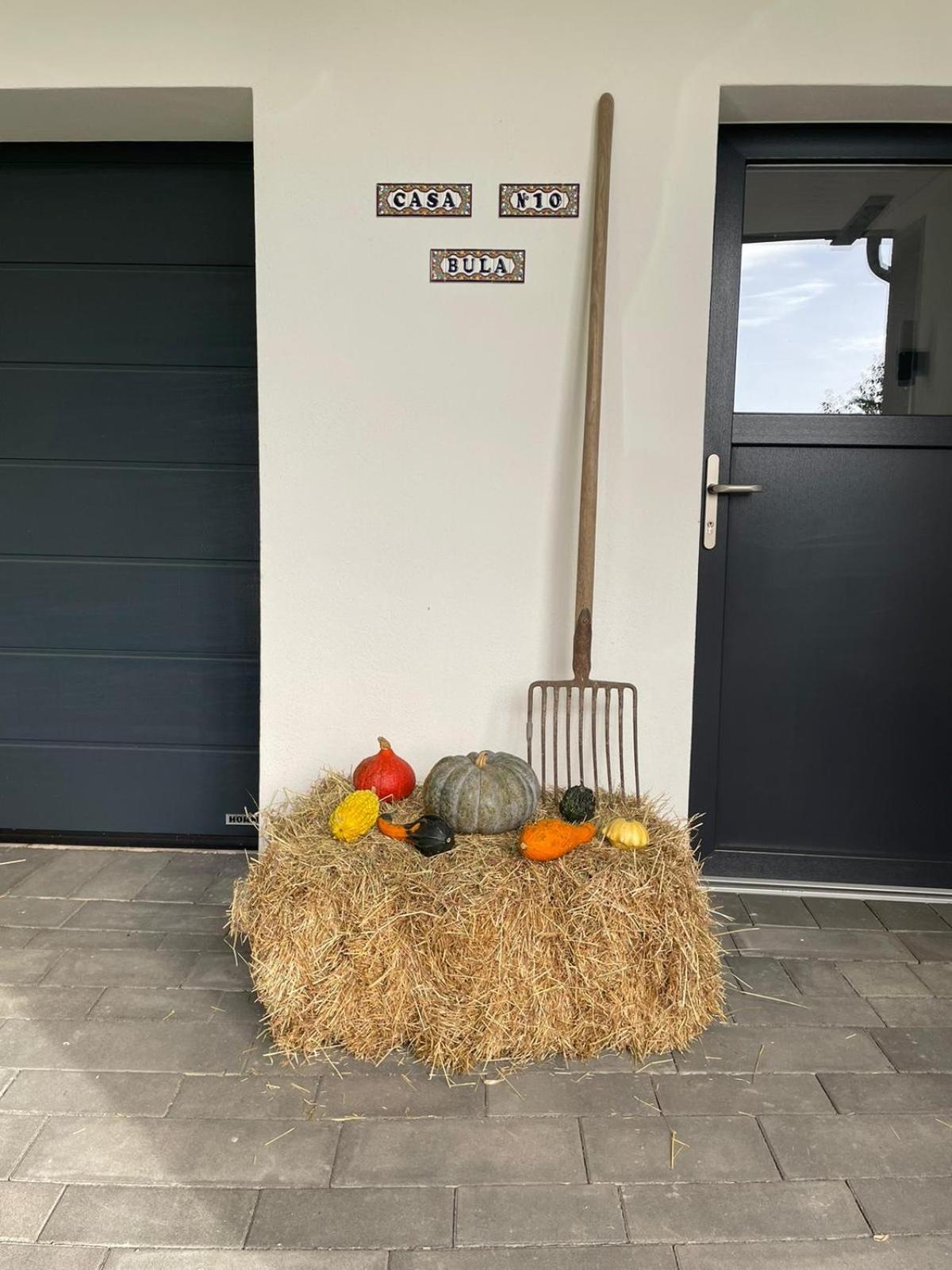 Lok-In Appartement Altenbeken Buitenkant foto